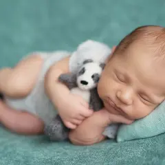 Słodki, 2 miesięczne dziecko śpi wtulone w pluszową pandę na turkusowym tle.