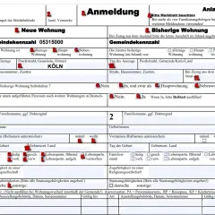 Formular Anmeldung: nowe i poprzednie mieszkanie, dane osobowe, stan cywilny, narodowość, dane paszportu. Jak przemeldować dziecko? Wypełnij sekcje 5 i 6.