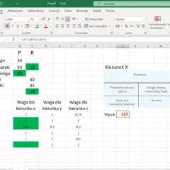 Arkusz kalkulacyjny Excel pokazuje, jak obliczyć punkty do liceum. Wpisane wyniki z przedmiotów i ich wagi pozwalają wyliczyć wynik końcowy.