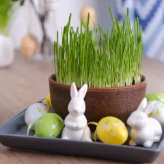 Wielkanocny owies w doniczce, obok ceramiczne zajączki i pisanki.
