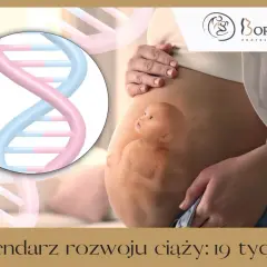 Wizualizacja rozwoju dziecka w 19 tygodniu ciąży. Widoczny brzuch kobiety, sylwetka płodu i podwójna helisa DNA.