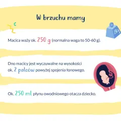 W brzuchu mamy, 16 tydzień ciąży. Macica waży ok. 250 g, a płyn owodniowy to 250 ml. Dziecko rośnie!