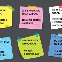 Terminy na zameldowanie dziecka po urodzeniu: ubezpieczenie zdrowotne do 7 dni, rejestracja do USC i wniosek o urlop macierzyński do 21 dni, wniosek o 500 plus, wniosek o becikowe i kosiniakowe w kolejnych miesiącach.