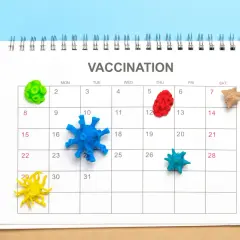 Kalendarz z napisem "VACCINATION" i kolorowymi modelami wirusów na dniach. Dtp szczepionka to ważny temat.