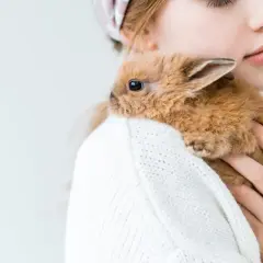 Delikatny królik dla dziecka, przytulony do ramienia w białym swetrze.