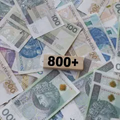Pieniądze w polskich złotówkach, z drewnianym klockiem z napisem "800+". Kiedy złożyć wniosek o 800 plus?