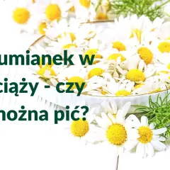 Rumianek w ciąży - czy można pić? Białe kwiaty rumianku w misie, symbol spokoju i natury.