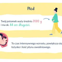 33 tydzień ciąży: płód waży ok. 2000g i ma 44cm. Intensywny wzrost, powiększa się łożysko i płyn owodniowy.