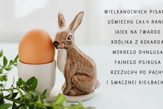 Wielkanocny zajączek obok jajka w kieliszku, z zielonymi gałązkami. Wesołych życzeń wielkanocnych religijnych!