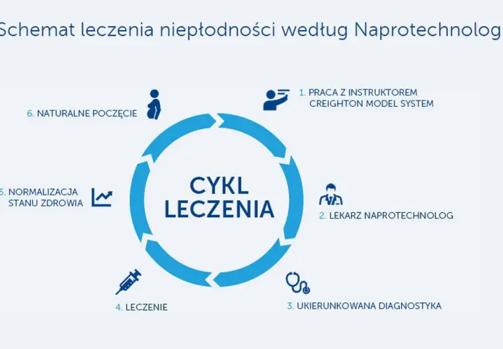 Cykl leczenia niepłodności według naprotechnologii: praca z instruktorem, lekarz naprotechnolog, diagnostyka, leczenie, normalizacja stanu zdrowia i naturalne poczęcie.