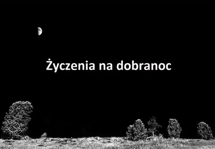 Nocny krajobraz z księżycem i drzewami. Tekst "Życzenia na dobranoc" zaprasza do snu.
