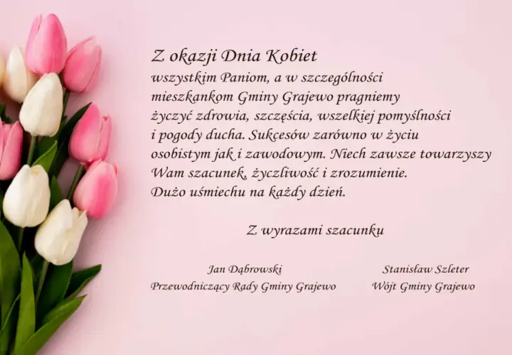 Bukiet różowych i białych tulipanów. Życzenia na Dzień Kobiet od mężczyzn dla mieszkanek Gminy Grajewo.
