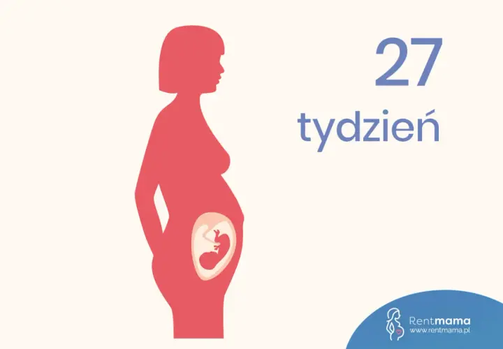 Sylwetka kobiety w ciąży, w brzuchu widoczny płód. Obok napis: 27 tydzień.