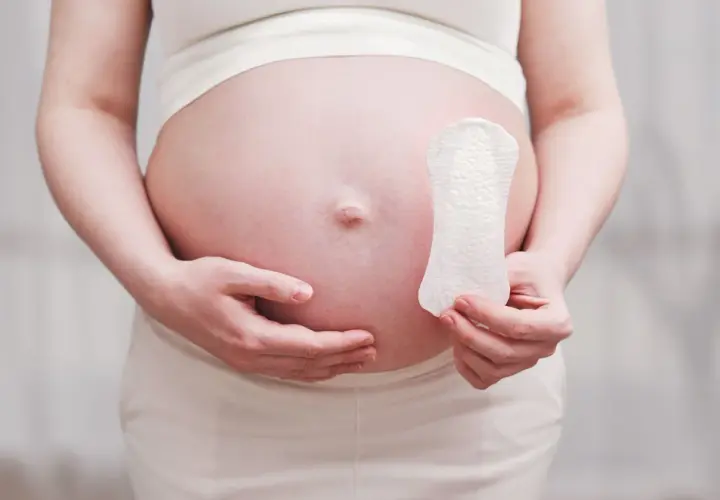 Ciąża podczas okresu? Kobieta trzyma podpaskę na tle swojego ciążowego brzucha, sugerując pytanie o płodność.