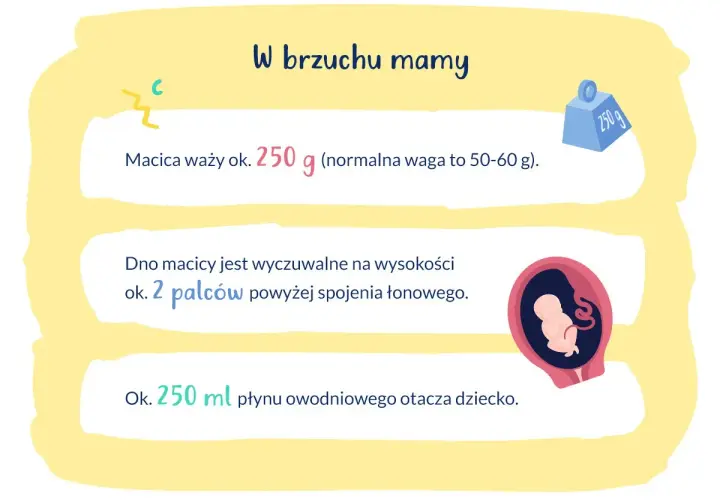 W brzuchu mamy, 16 tydzień ciąży. Macica waży ok. 250 g, a płyn owodniowy to 250 ml. Dziecko rośnie!