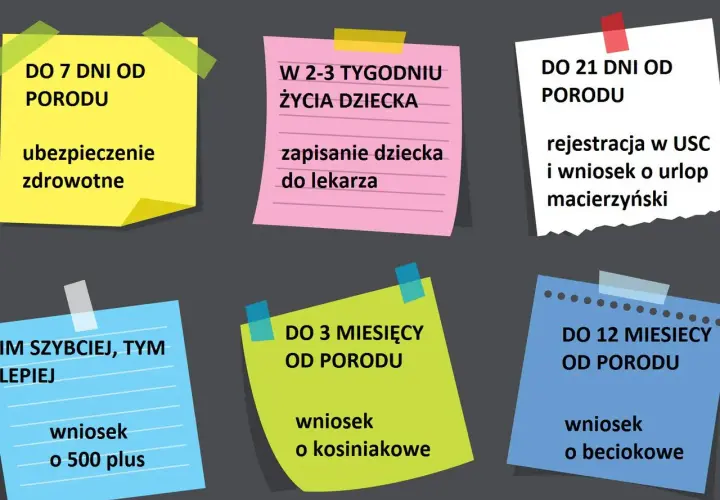 Terminy na zameldowanie dziecka po urodzeniu: ubezpieczenie zdrowotne do 7 dni, rejestracja do USC i wniosek o urlop macierzyński do 21 dni, wniosek o 500 plus, wniosek o becikowe i kosiniakowe w kolejnych miesiącach.