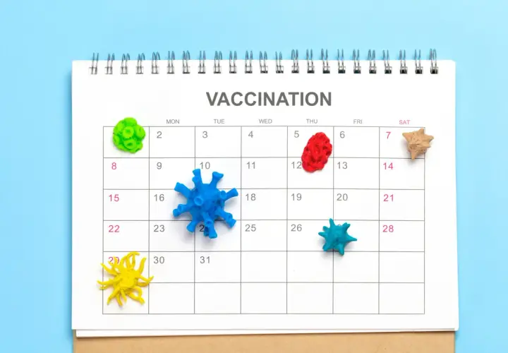 Kalendarz z napisem "VACCINATION" i kolorowymi modelami wirusów na dniach. Dtp szczepionka to ważny temat.