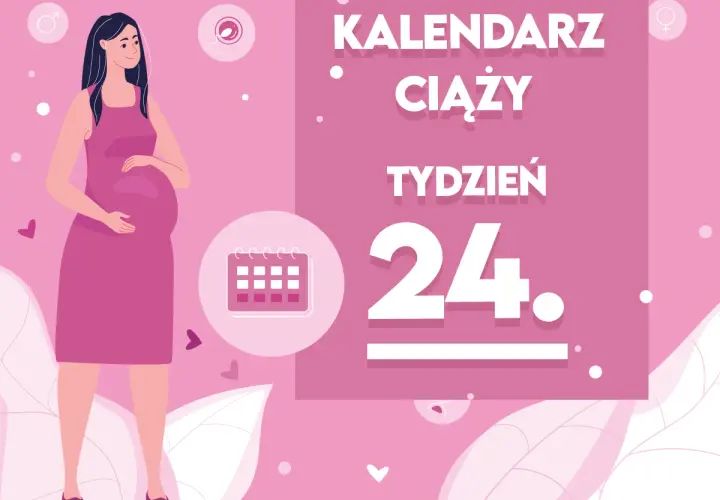 Kobieta w 24 tygodniu ciąży, z brzuszkiem. Obok kalendarz i napis "Kaledarz ciąży tydzień 24".