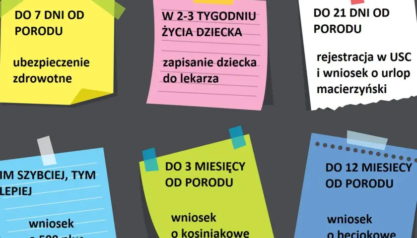 Terminy na zameldowanie dziecka po urodzeniu: ubezpieczenie zdrowotne do 7 dni, rejestracja do USC i wniosek o urlop macierzyński do 21 dni, wniosek o 500 plus, wniosek o becikowe i kosiniakowe w kolejnych miesiącach.