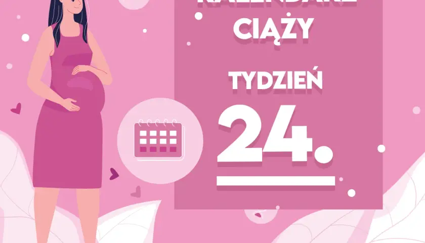 Kobieta w 24 tygodniu ciąży, z brzuszkiem. Obok kalendarz i napis "Kaledarz ciąży tydzień 24".