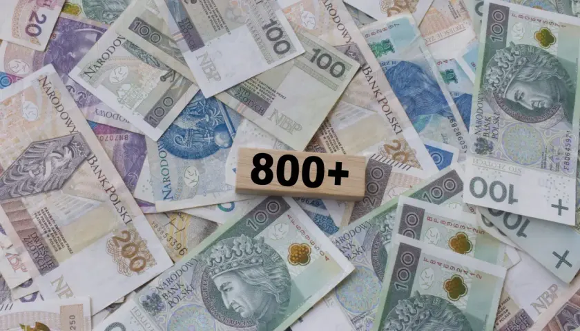 Pieniądze w polskich złotówkach, z drewnianym klockiem z napisem "800+". Kiedy złożyć wniosek o 800 plus?