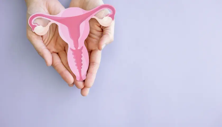 Dłonie trzymają model macicy z widoczną szyjką macicy, symbolizującą wczesną ciążę.