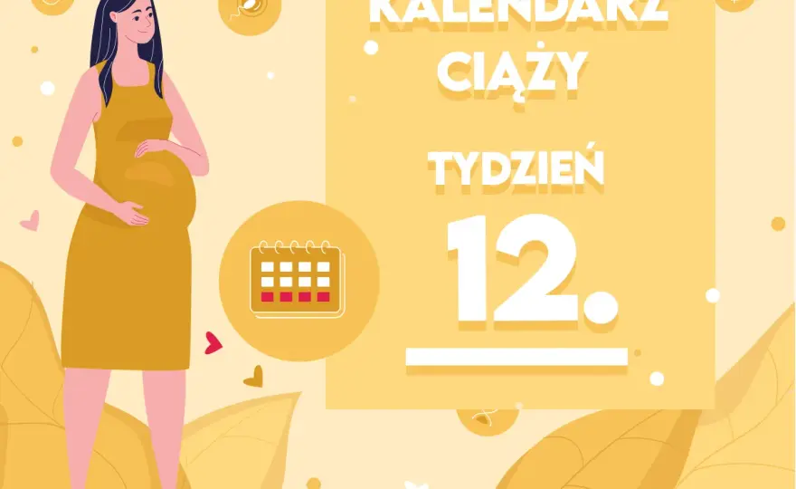 12 tydzień ciąży - rozwój, objawy i badania. Co musisz wiedzieć?