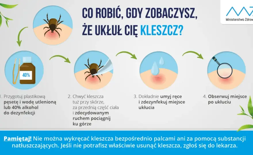 Kleszcze u dziecka - Jak chronić i bezpiecznie usunąć?