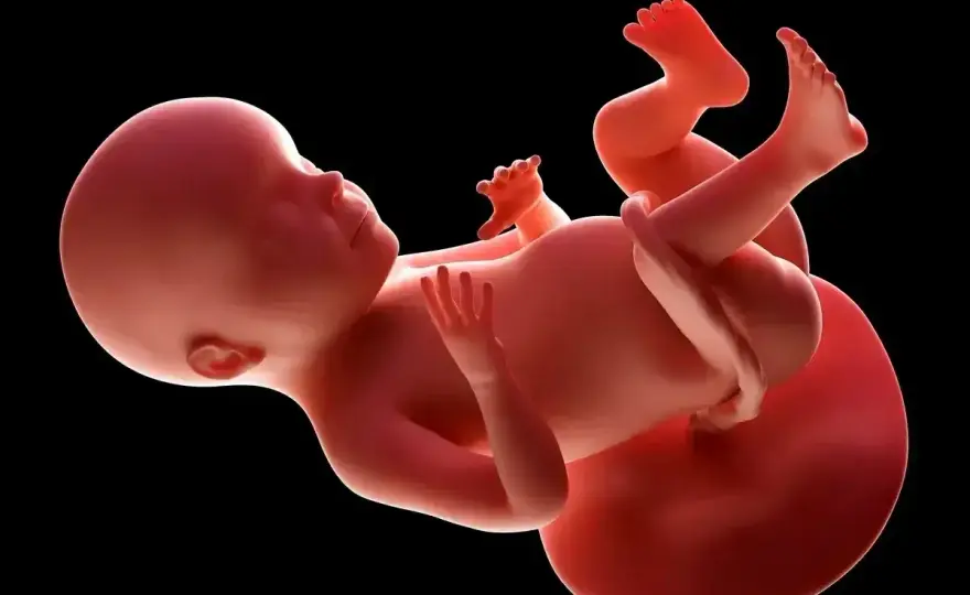 28. tydzień ciąży - rozwój dziecka, badania i objawy mamy