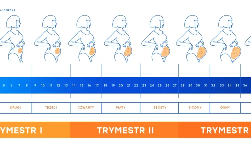 Etapy ciąży tydzień po tygodniu - Co musisz wiedzieć?