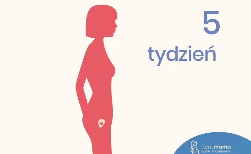Piąty tydzień ciąży - objawy, test i USG