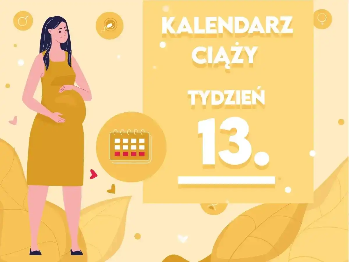 13. tydzień ciąży - rozwój dziecka, objawy i ważne badania