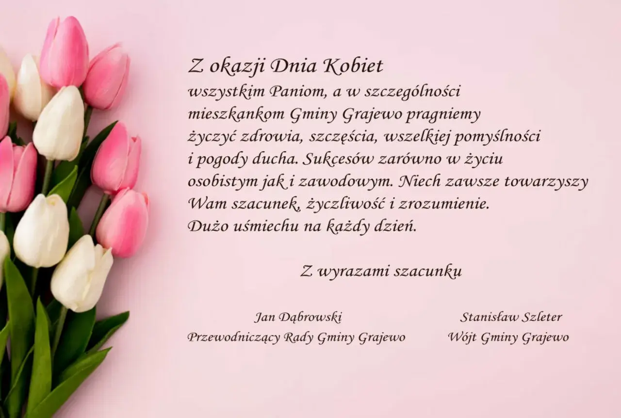 Bukiet różowych i białych tulipanów. Życzenia na Dzień Kobiet od mężczyzn dla mieszkanek Gminy Grajewo.
