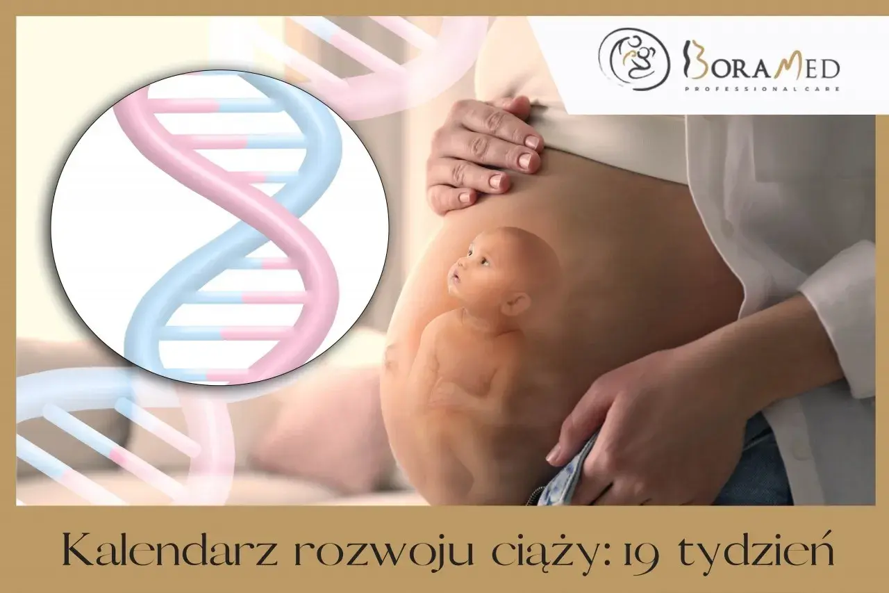 Wizualizacja rozwoju dziecka w 19 tygodniu ciąży. Widoczny brzuch kobiety, sylwetka płodu i podwójna helisa DNA.