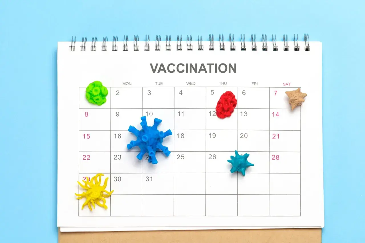 Kalendarz z napisem "VACCINATION" i kolorowymi modelami wirusów na dniach. Dtp szczepionka to ważny temat.