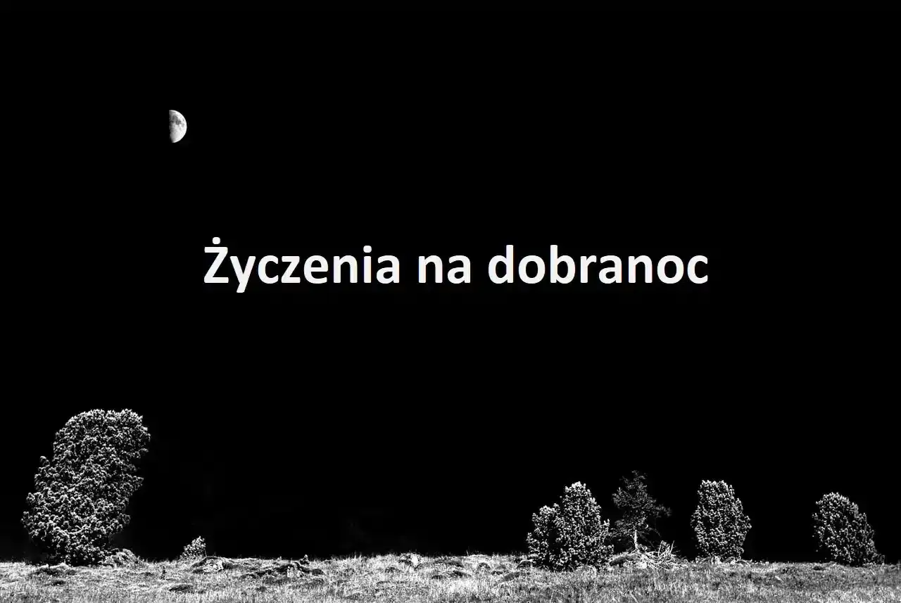 Księżyc na nocnym niebie, drzewa i trawa. Słowa 