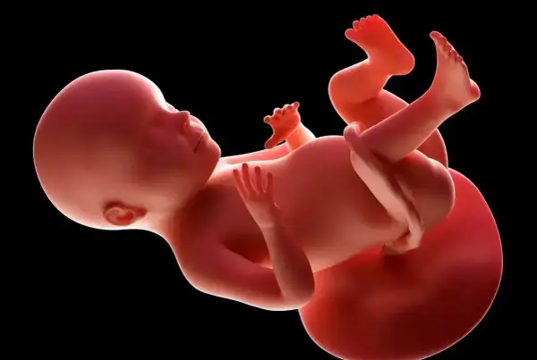 Płód w 28 tygodniu ciąży, z widocznymi dłońmi i stopami, przygotowuje się do przyjścia na świat.