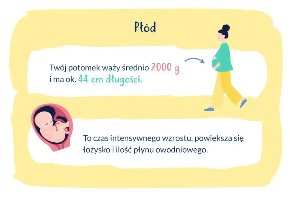 33. tydzień ciąży - co dzieje się z dzieckiem i mamą?
